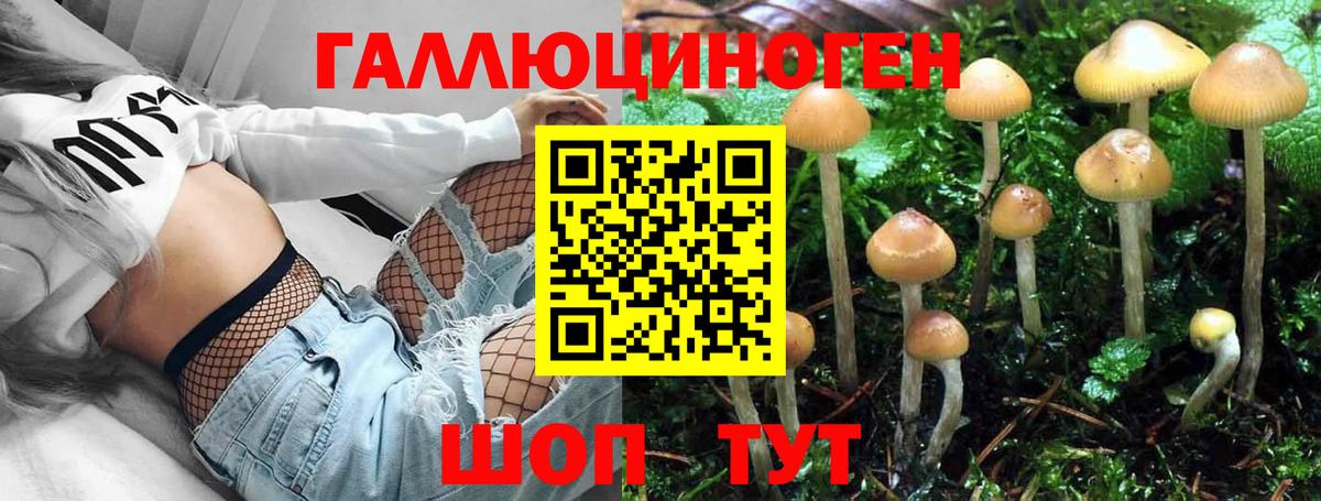 Галлюциногенные грибы ЛСД Мичуринск